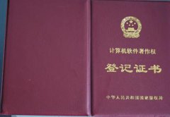 中国计算机软件著作权保护条例